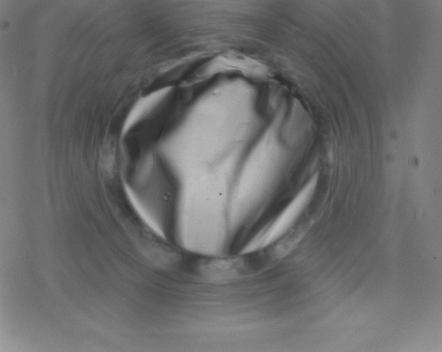 X0000077350129200611101623