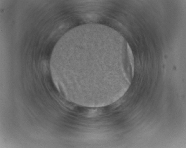 X0000077350130200611101623