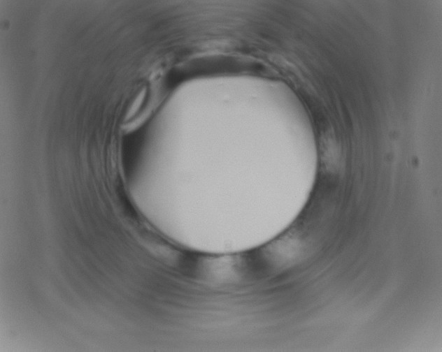 X0000077350131200611101623