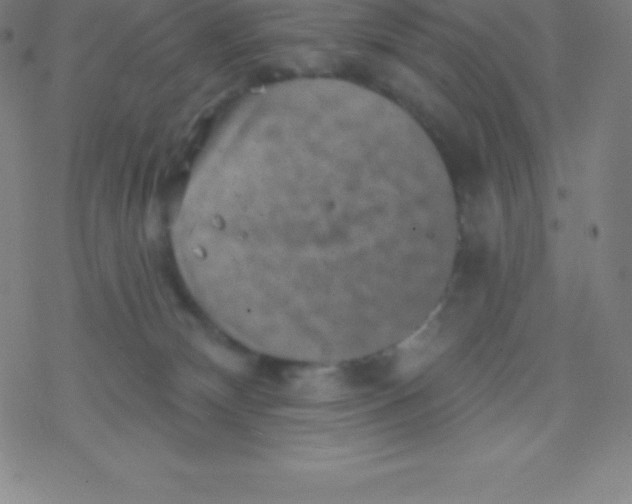 X0000077350132200611101623