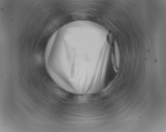 X0000077350134200611101623