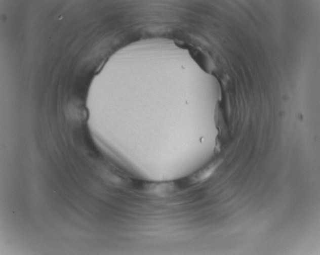 X0000077350135200611101623