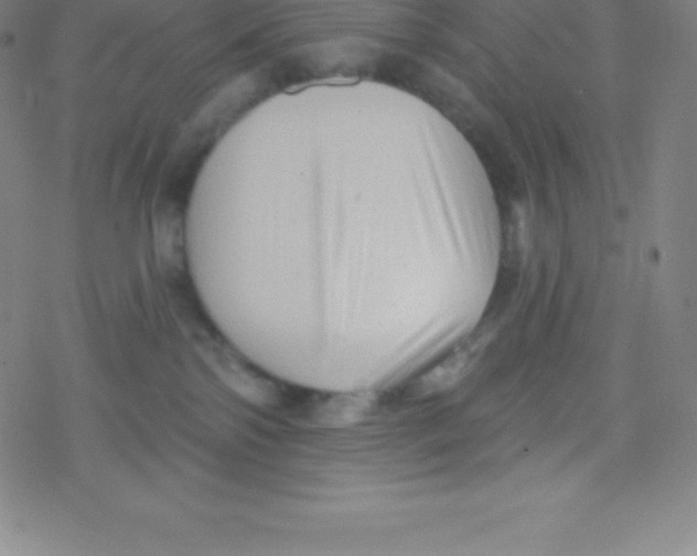 X0000077350138200611101623