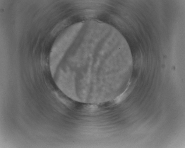 X0000077350140200611101623