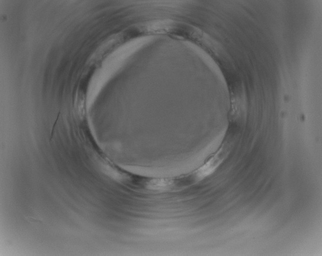 X0000077350142200611101623