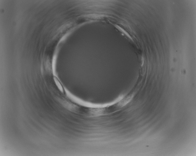 X0000077350143200611101623