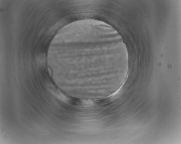 X0000077350144200611101623