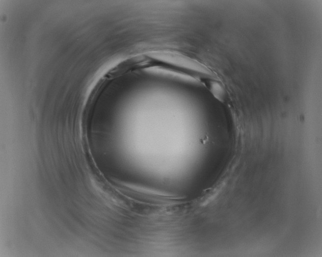 X0000077350148200611101622