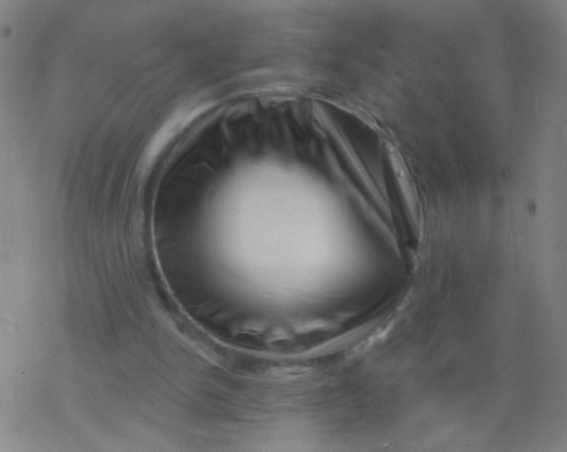 X0000077350150200611101622