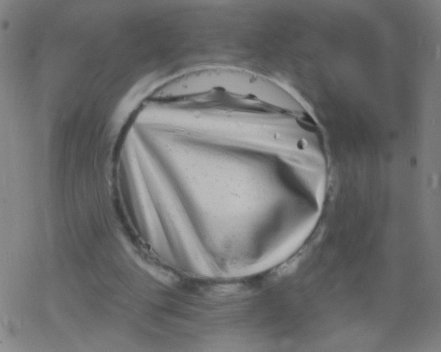 X0000077350151200611101623