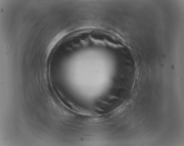 X0000077350152200611101623