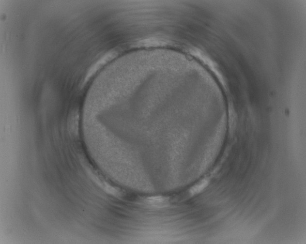 X0000077350153200611101623