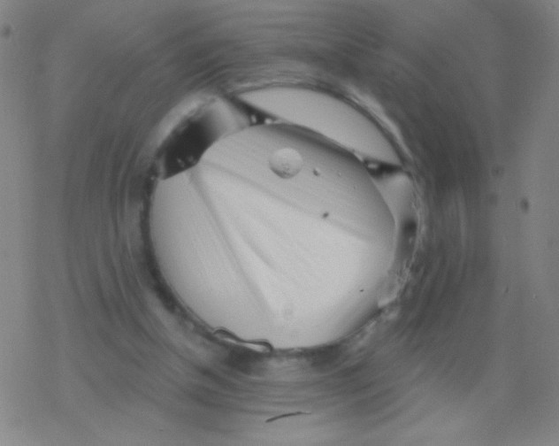 X0000077350154200611101623