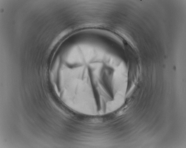 X0000077350156200611101623