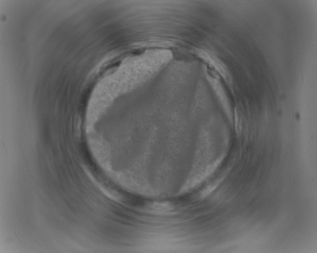 X0000077350157200611101623