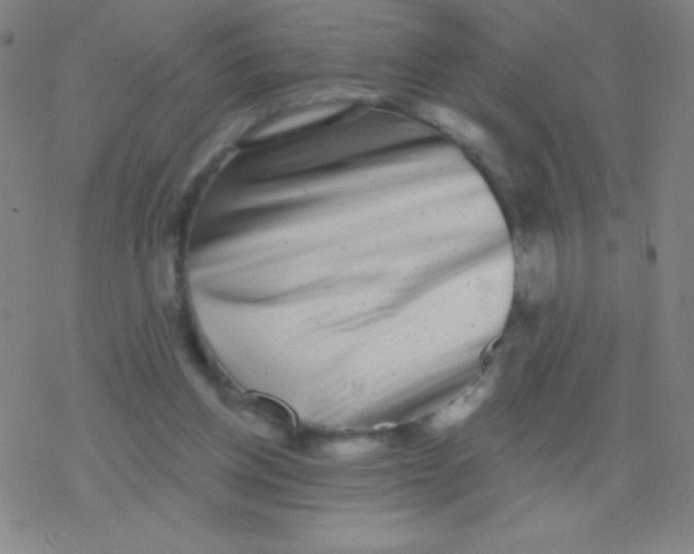 X0000077350158200611101623