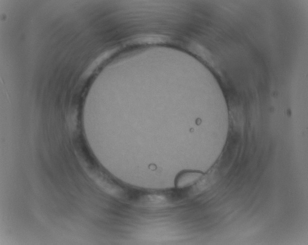 X0000077350159200611101623