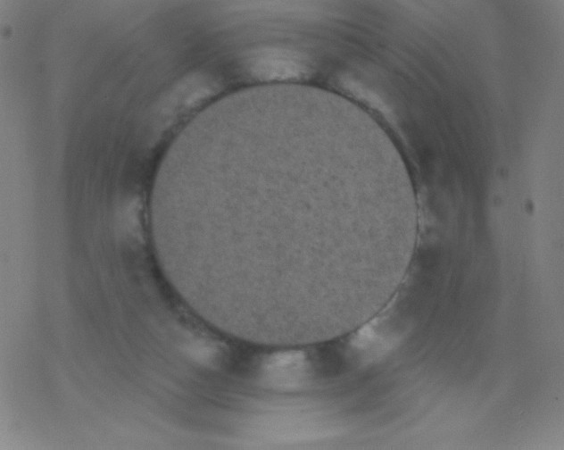 X0000077350162200611101623