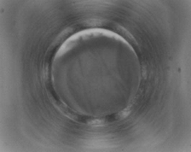 X0000077350163200611101623