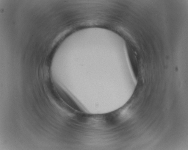 X0000077350164200611101623