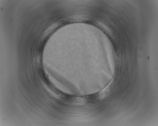 X0000077350166200611101623