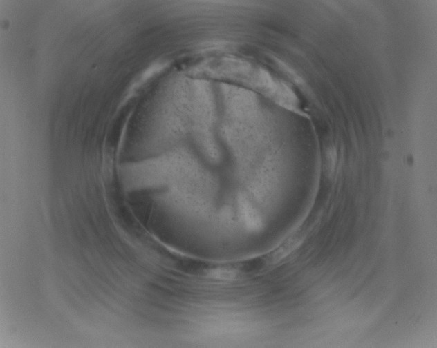 X0000077350168200611101623