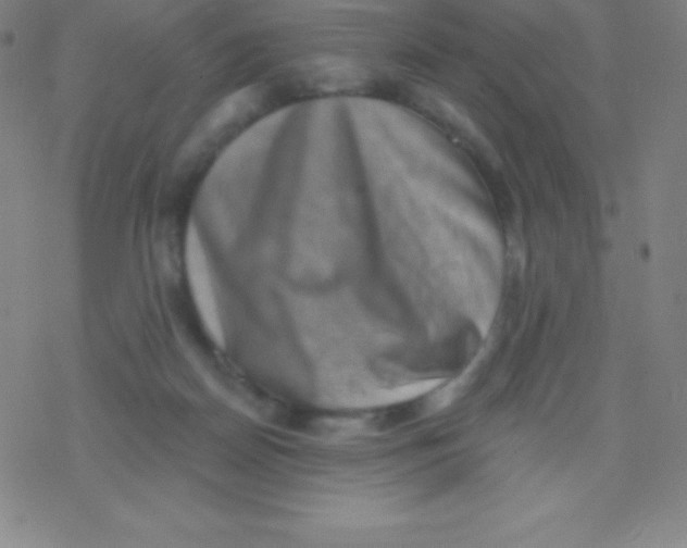 X0000077350170200611101623