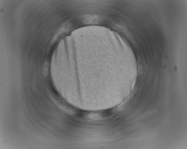 X0000077350171200611101623