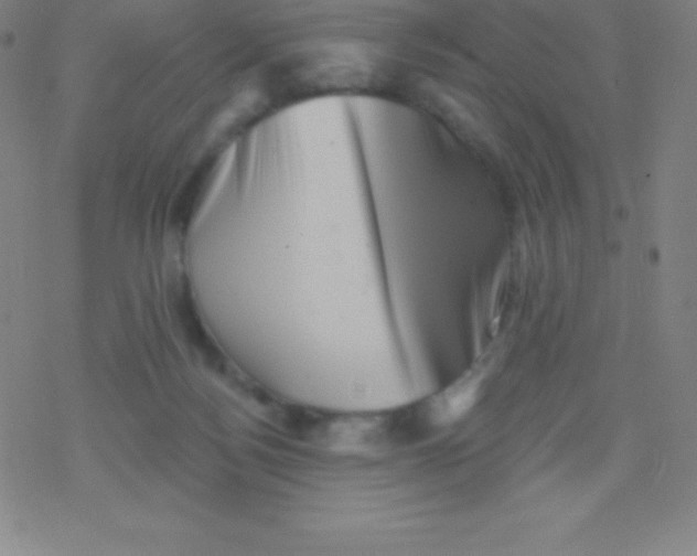 X0000077350172200611101623