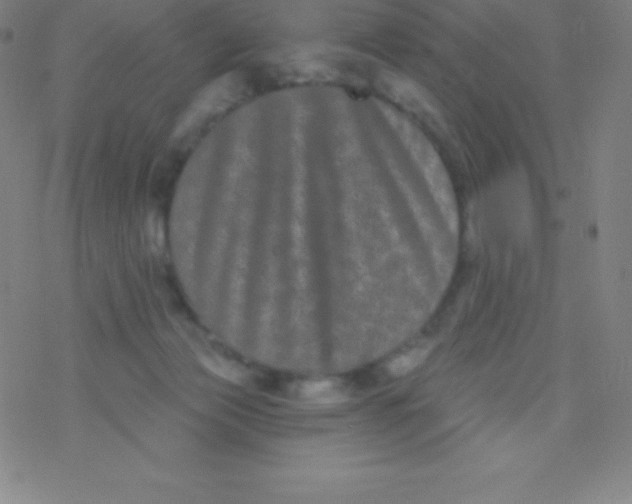 X0000077350173200611101623