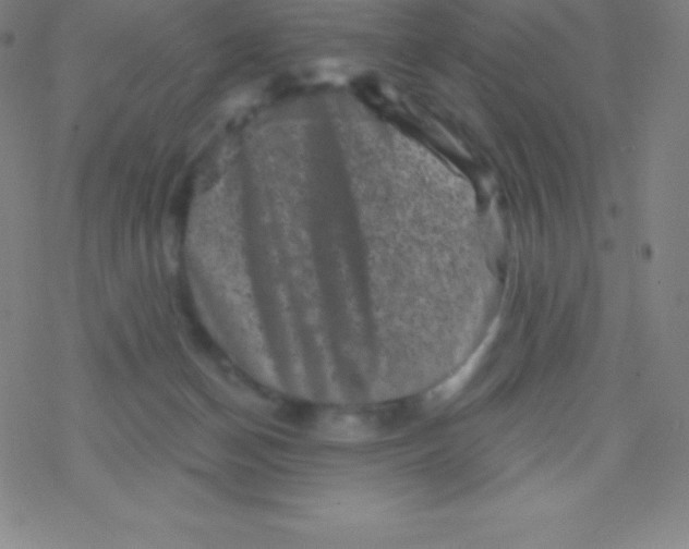 X0000077350174200611101623