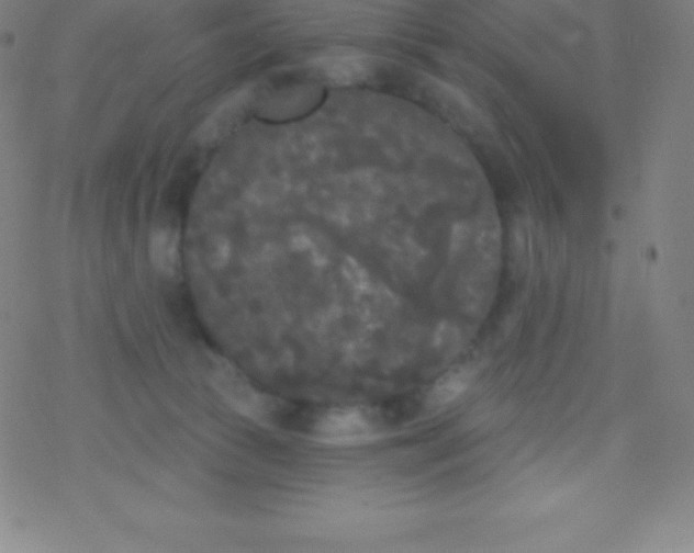 X0000077350177200611101623