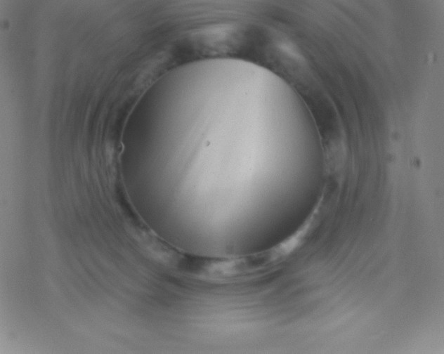 X0000077350178200611101623