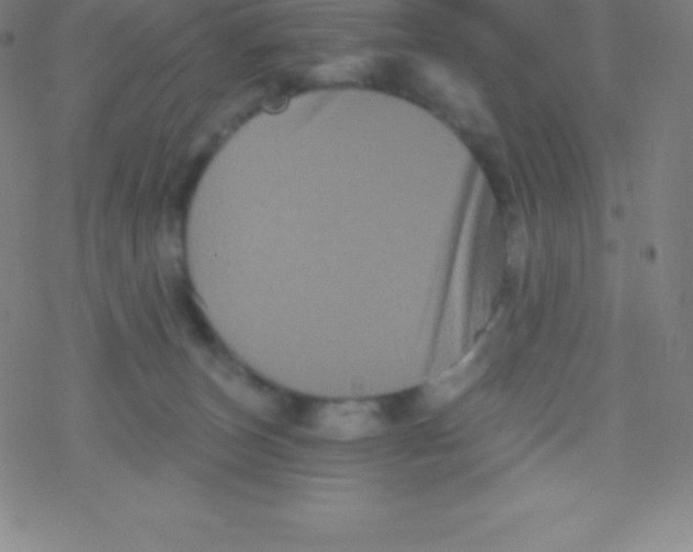 X0000077350179200611101623