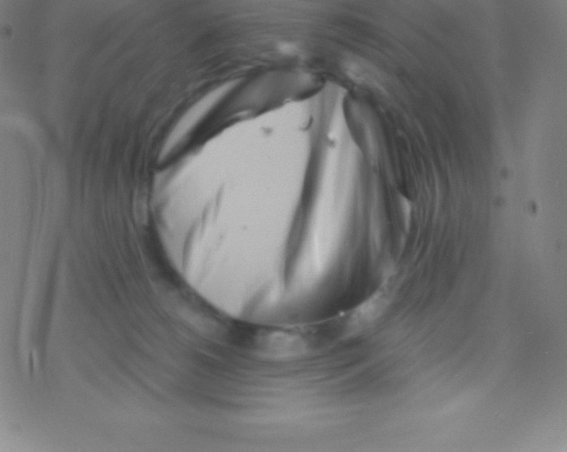 X0000077350180200611101623