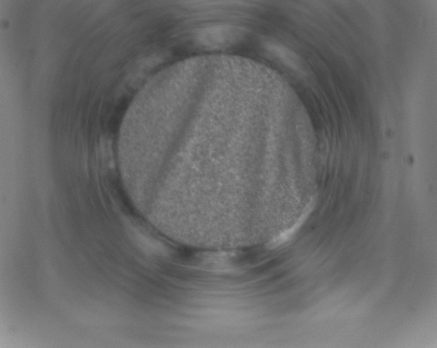 X0000077350182200611101623