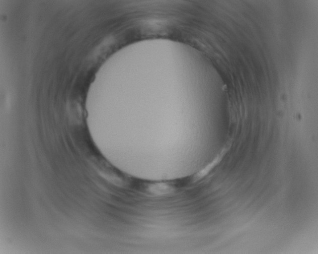 X0000077350183200611101623