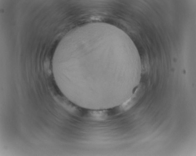 X0000077350187200611101623