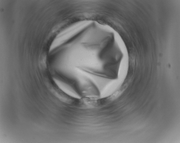 X0000077350188200611101623