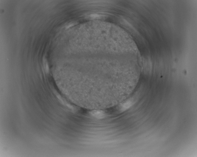 X0000077350189200611101623