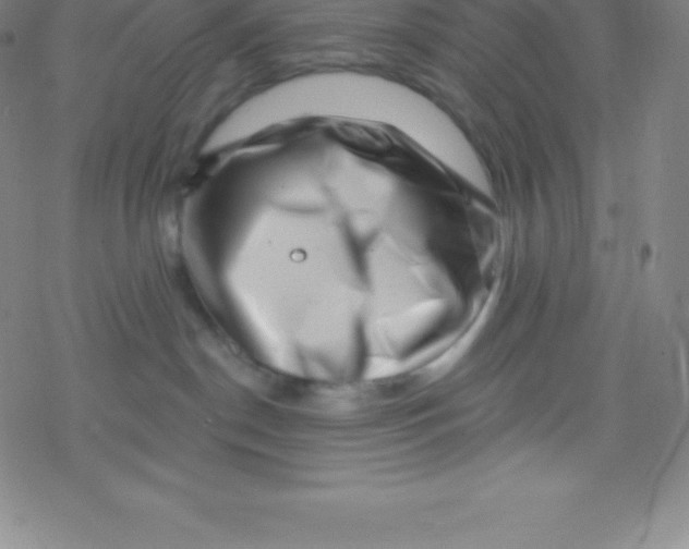 X0000077350190200611101623