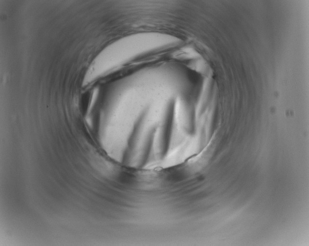 X0000077350192200611101623