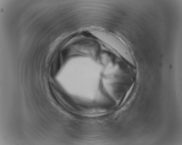 X0000077350193200611101622