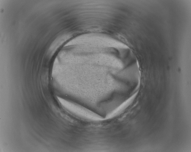 X0000077350194200611101622