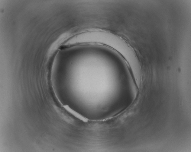 X0000077350197200611101622