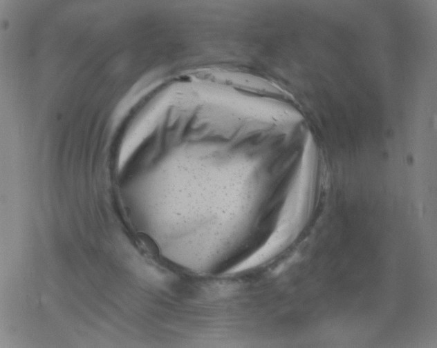 X0000077350198200611101622