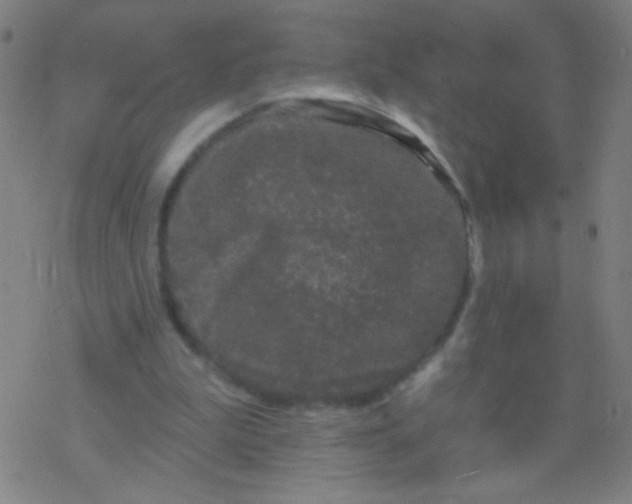 X0000077350199200611101622