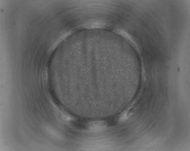 X0000077350202200611101622