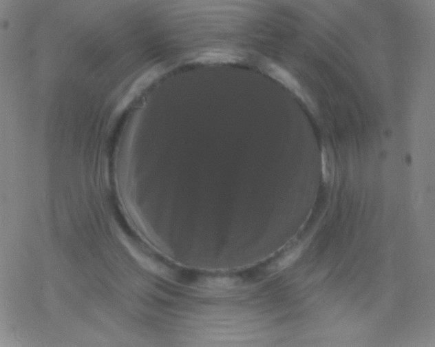 X0000077350205200611101622