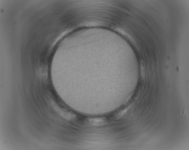 X0000077350208200611101622